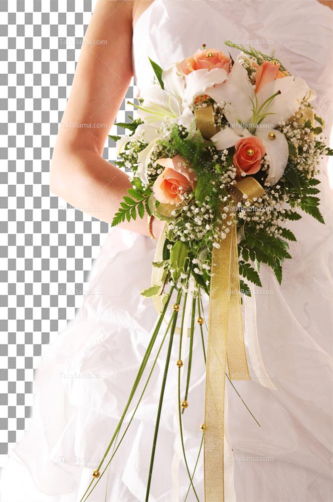 تصاویر گل و گیاه